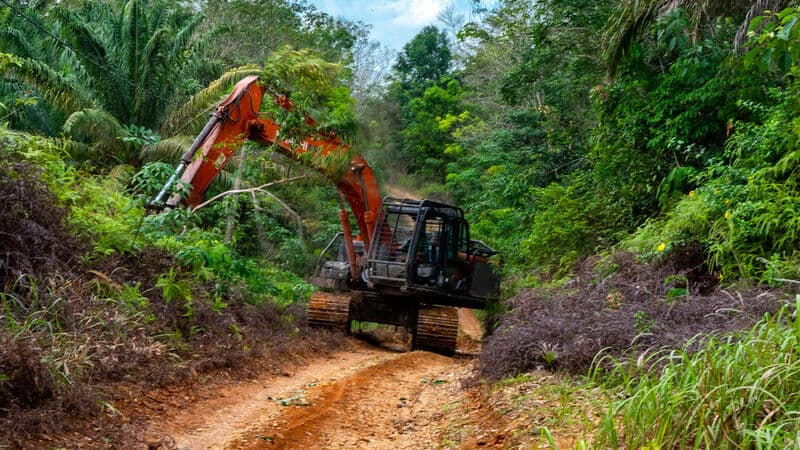 Program Layanan Hilir