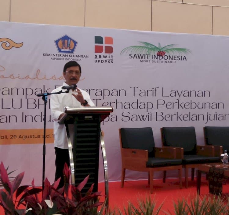 Press Release: Komitmen Pemerintah Terus Mendukung Kelapa Sawit Berkelanjutan