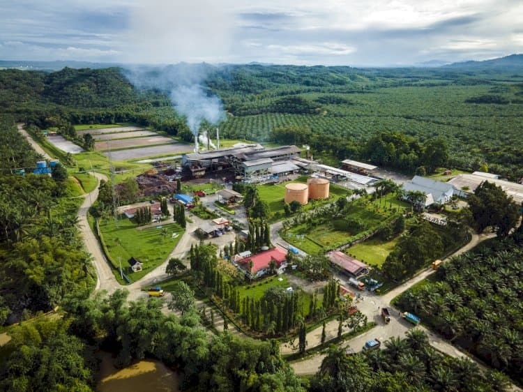 Pemanfaatan Limbah Padat Bukti Industri Sawit Zero Waste