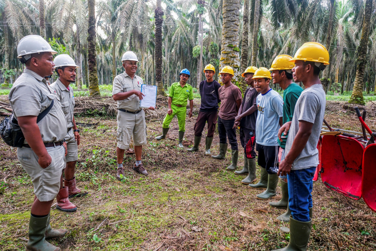 Pelatihan